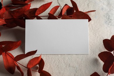Photo of Empty business card and red eucalyptus branches on light textured background. Mockup for design
