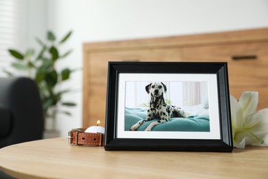 Pet funeral. Frame with picture of dog, collar, burning candle and lily flower on wooden table indoors