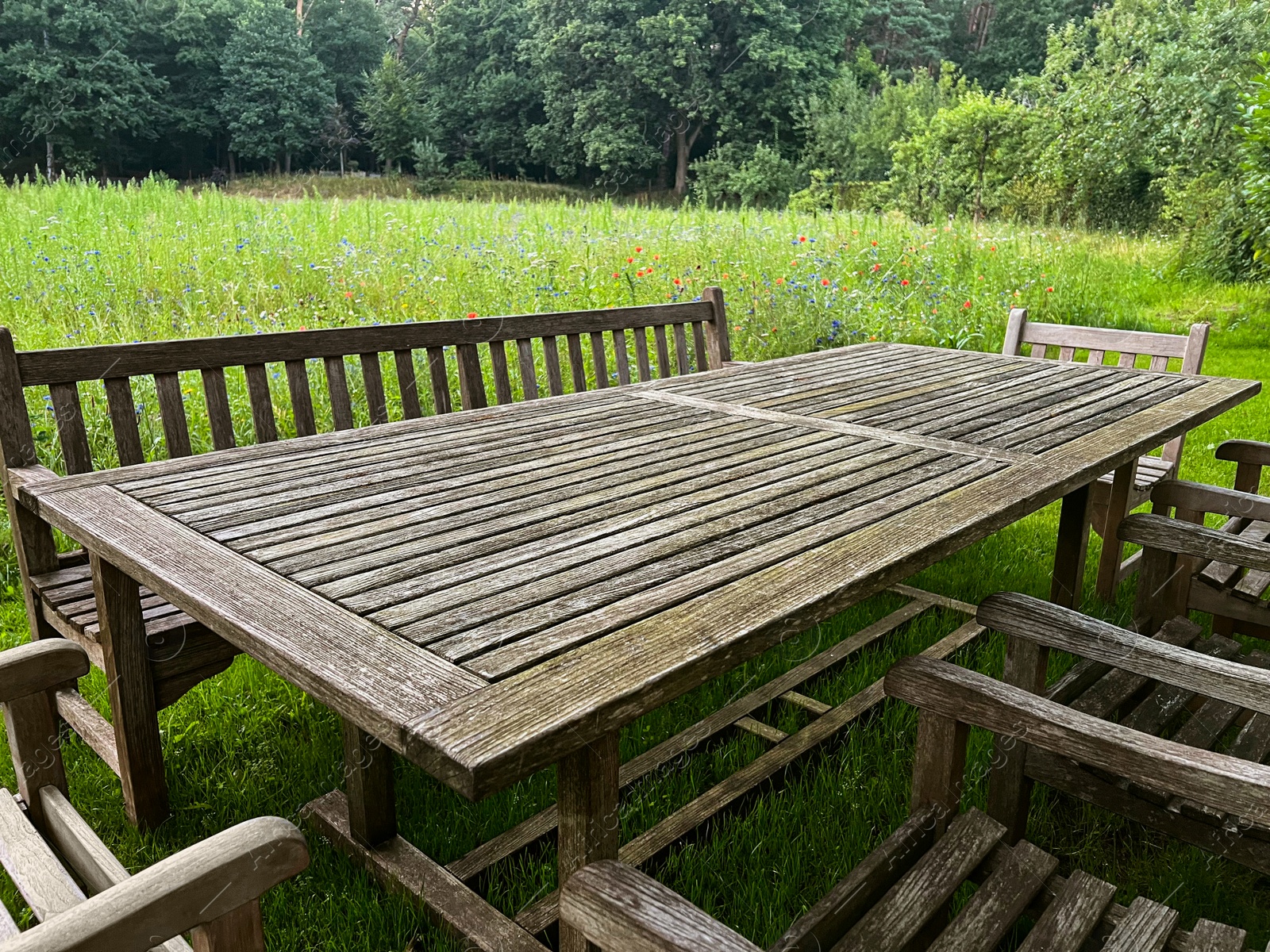 Photo of Wooden table with bench and chairs in garden. Landscape design