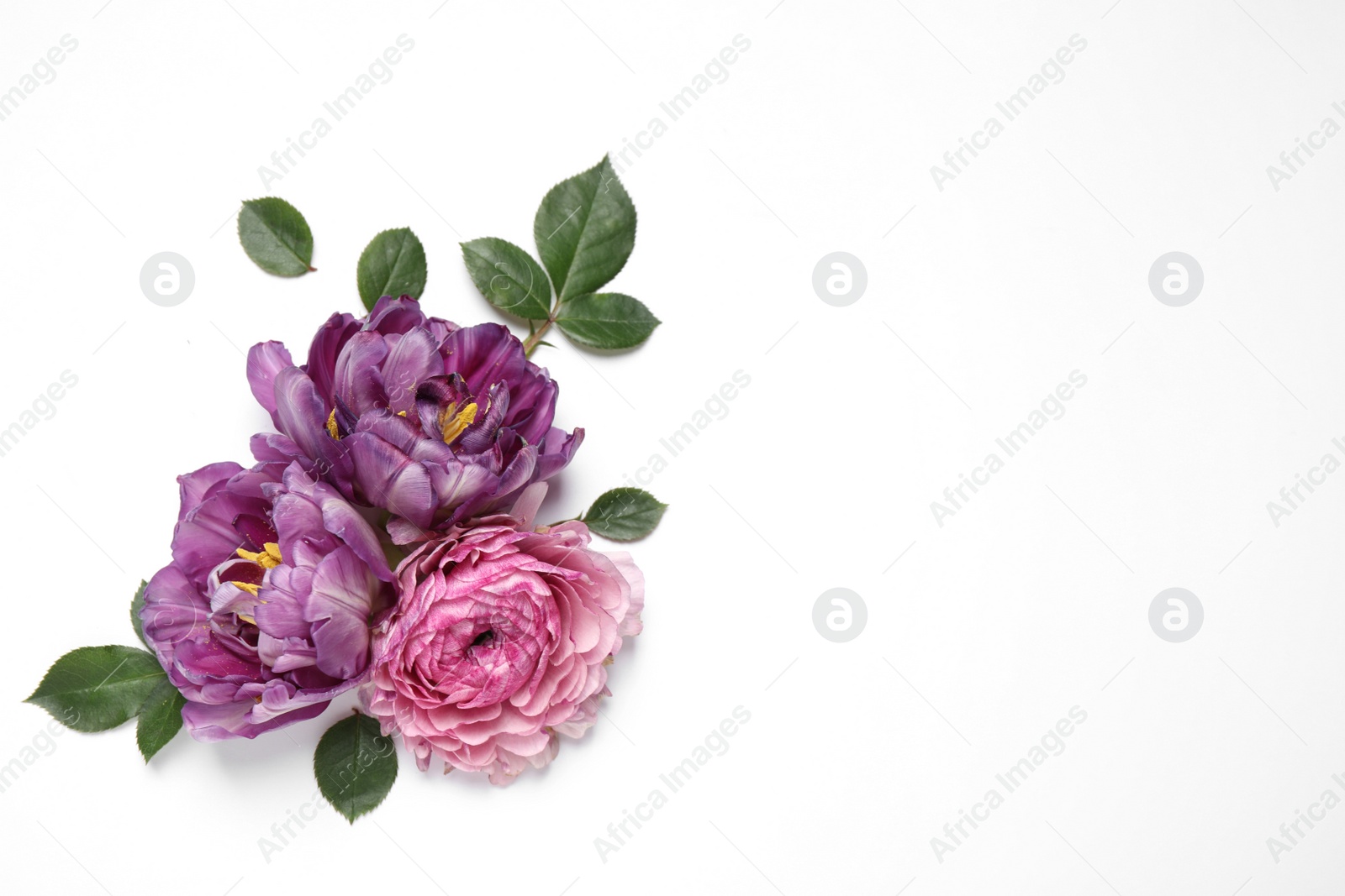 Photo of Beautiful floral composition with flowers on white background, flat lay. Space for text