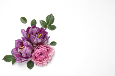 Beautiful floral composition with flowers on white background, flat lay. Space for text