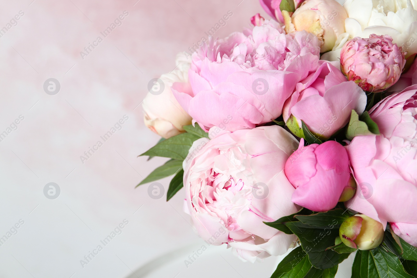 Photo of Bouquet of beautiful peonies on pink background, closeup