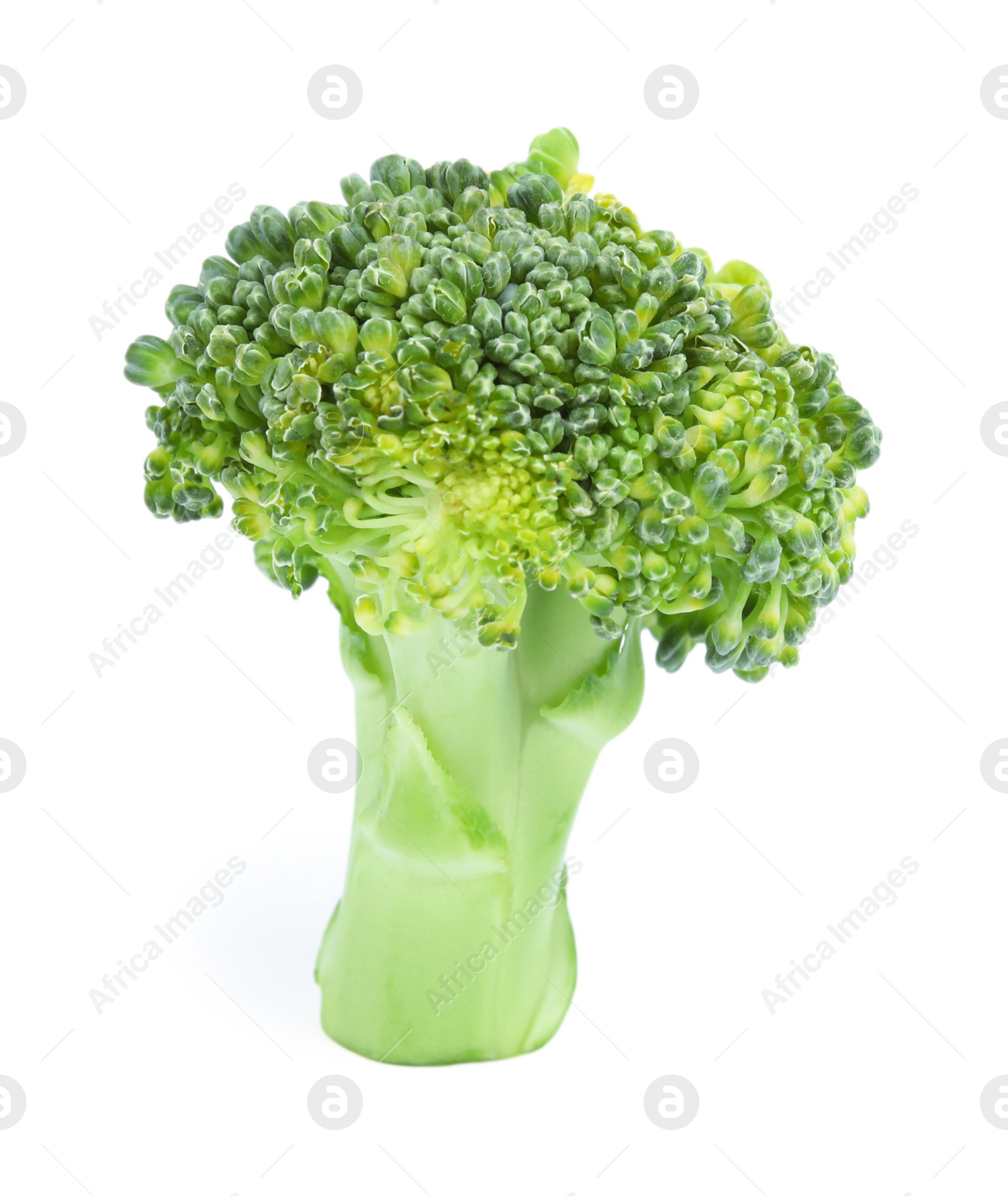 Fresh green broccoli on white background. Organic food Photo of Fresh green broccoli on white background. Organic food