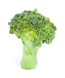 Photo of Fresh green broccoli on white background. Organic food