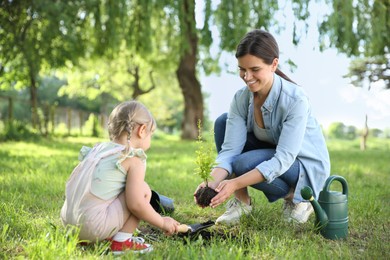 Mother and her daughter planting tree together in garden