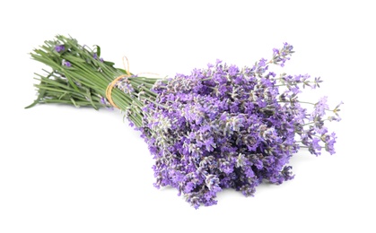 Photo of Beautiful tender lavender flowers on white background