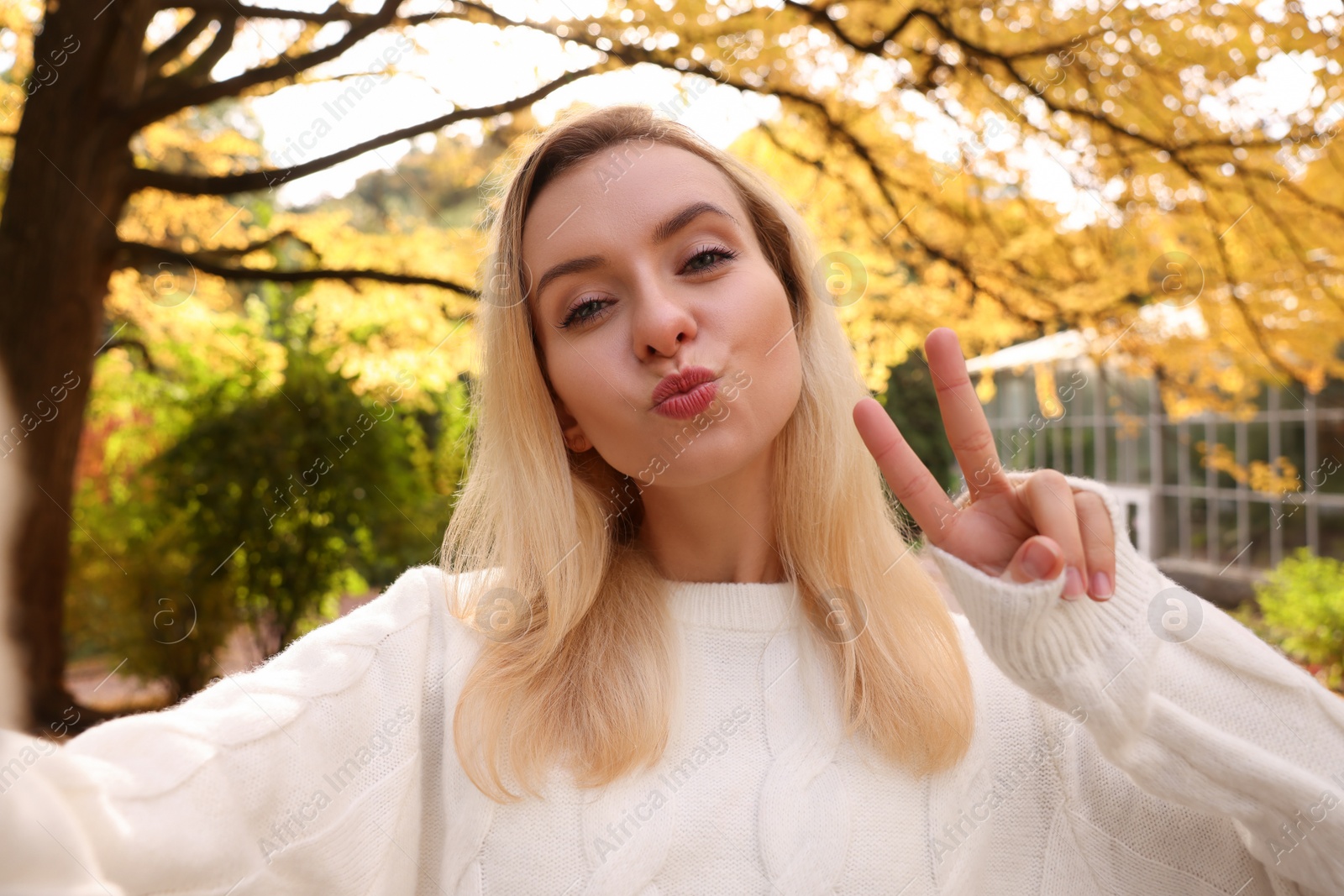 Photo of Portrait of cute woman taking selfie and showing peace sign in autumn park
