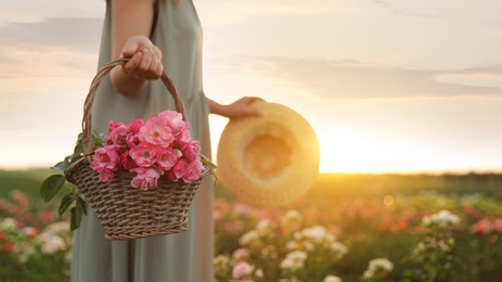 Photo of Woman with basket of roses in beautiful blooming field, closeup