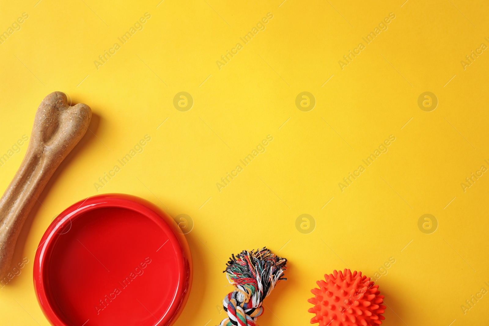 Photo of Flat lay composition with accessories for dog on color background. Pet care