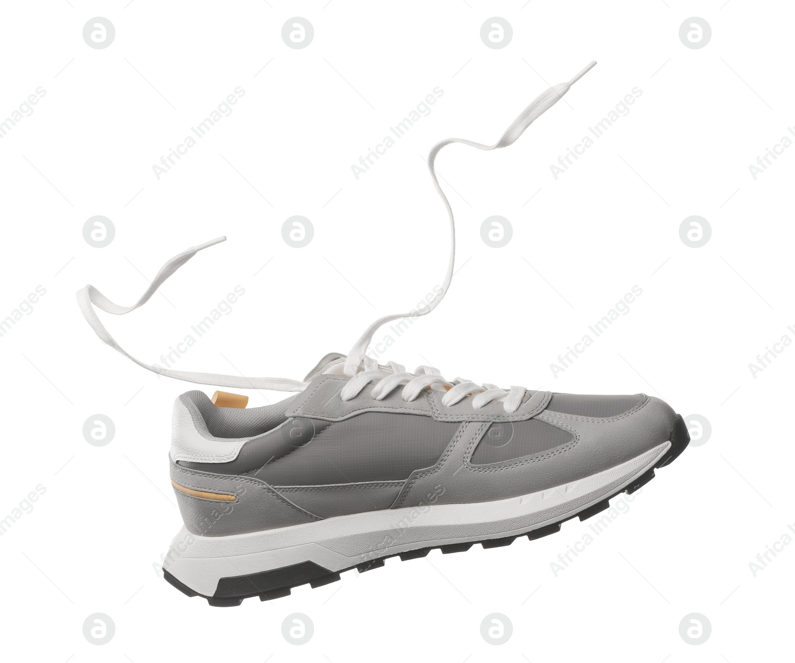 Photo of One stylish new sneaker isolated on white