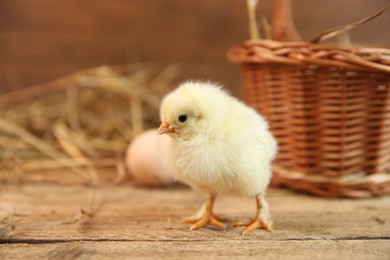 Photo of Cute chick on wooden table. Baby animal