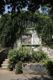 Photo of Beautiful white old building covered in plants