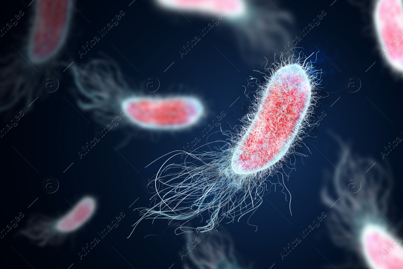 Illustration of Bacteria colony under microscope, illustration. Cystitis, infection of urinary bladder