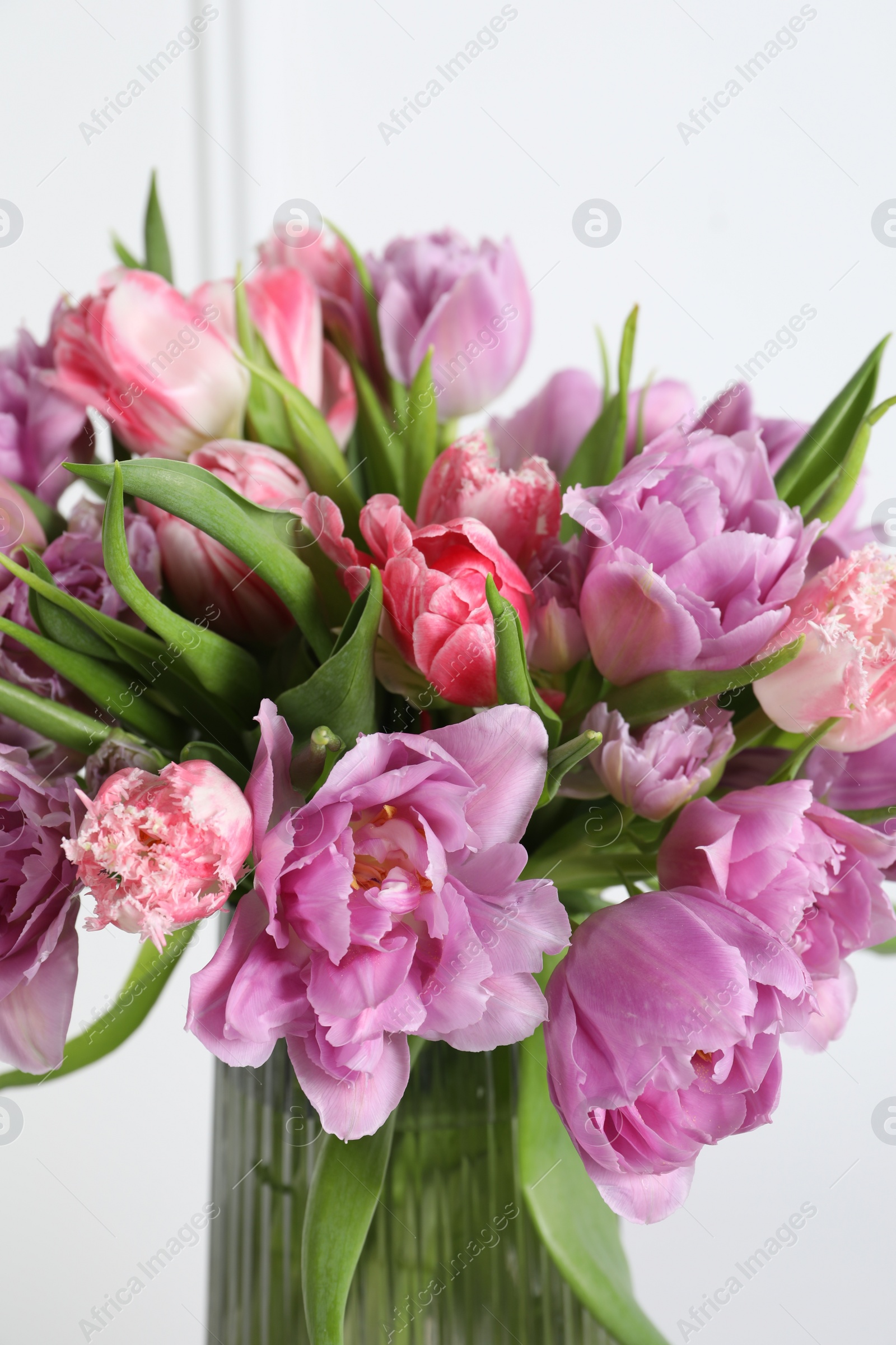 Photo of Beautiful bouquet of colorful tulip flowers in vase on white background