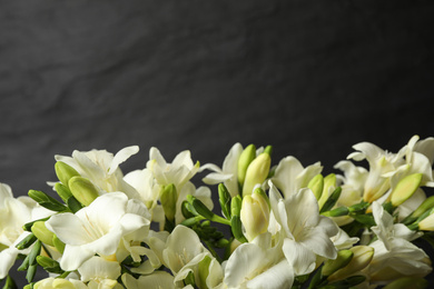 Beautiful freesia flowers on black background, closeup