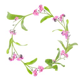 Wreath of beautiful wild flowers isolated on white