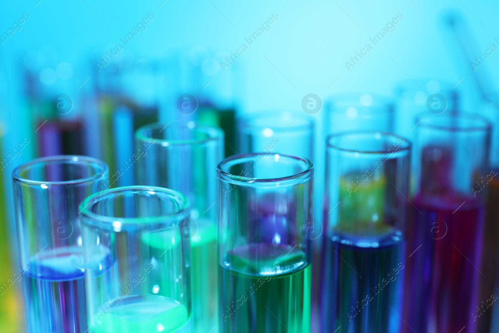 Photo of Many test tubes with colorful liquids on light blue background, closeup