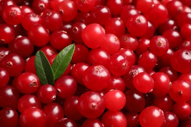 Fresh ripe cranberries with leaves as background, closeup