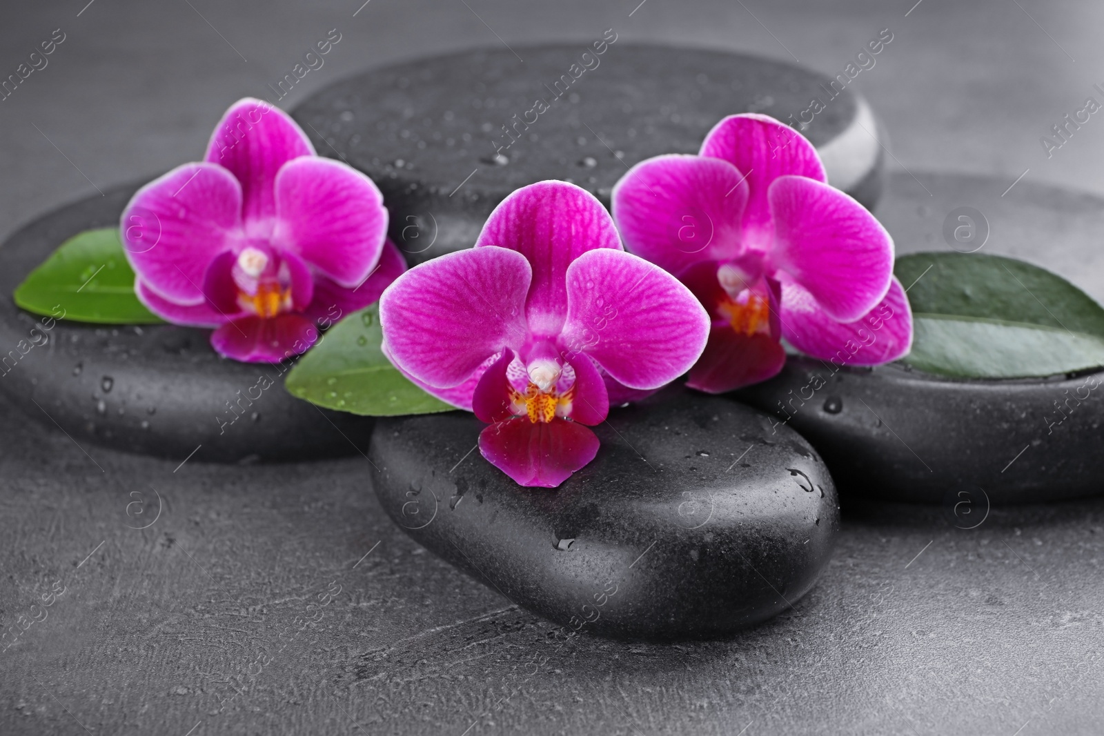 Photo of Wet spa stones and orchid flowers on grey background