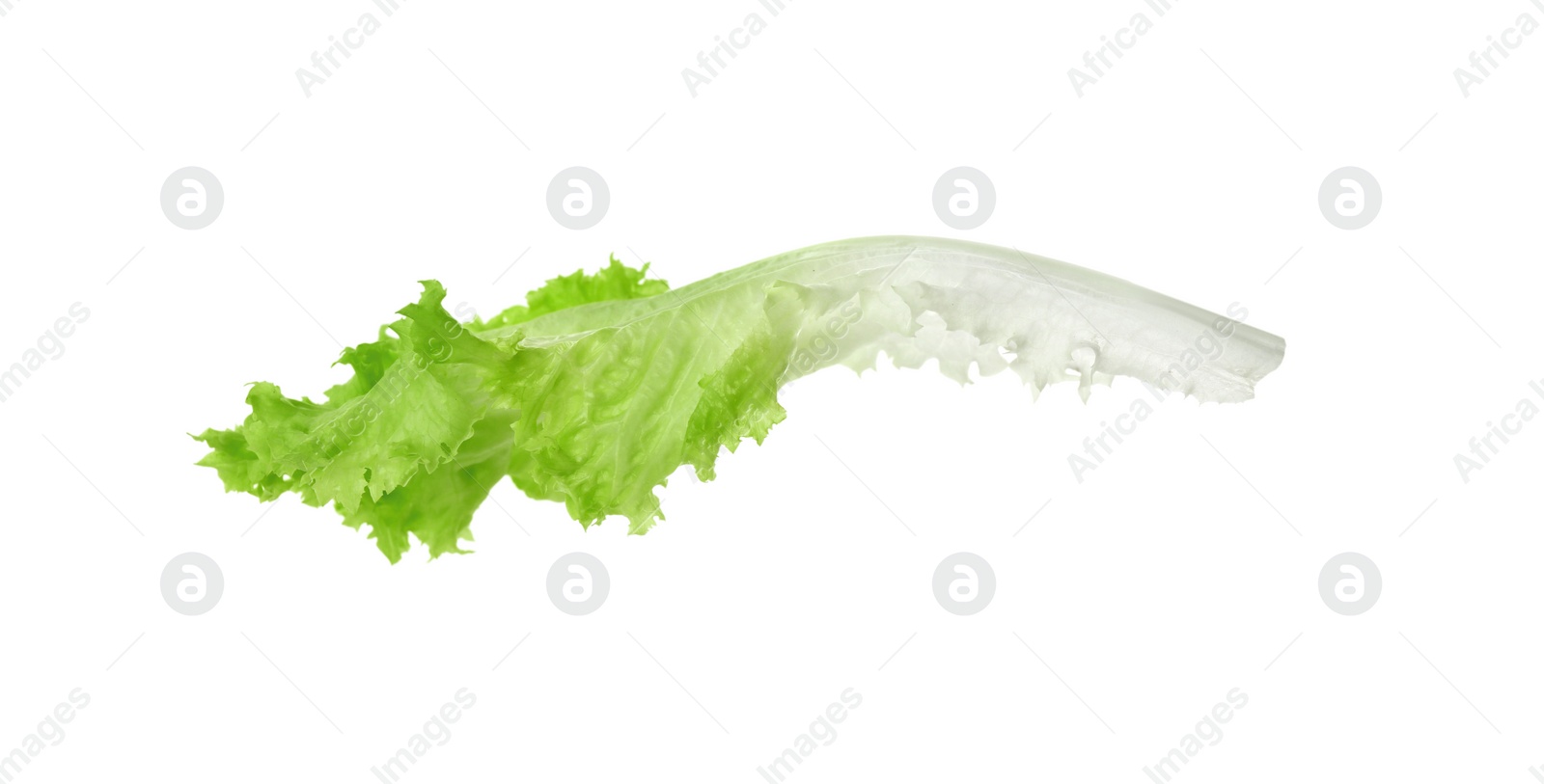 Photo of Fresh green lettuce leaf isolated on white