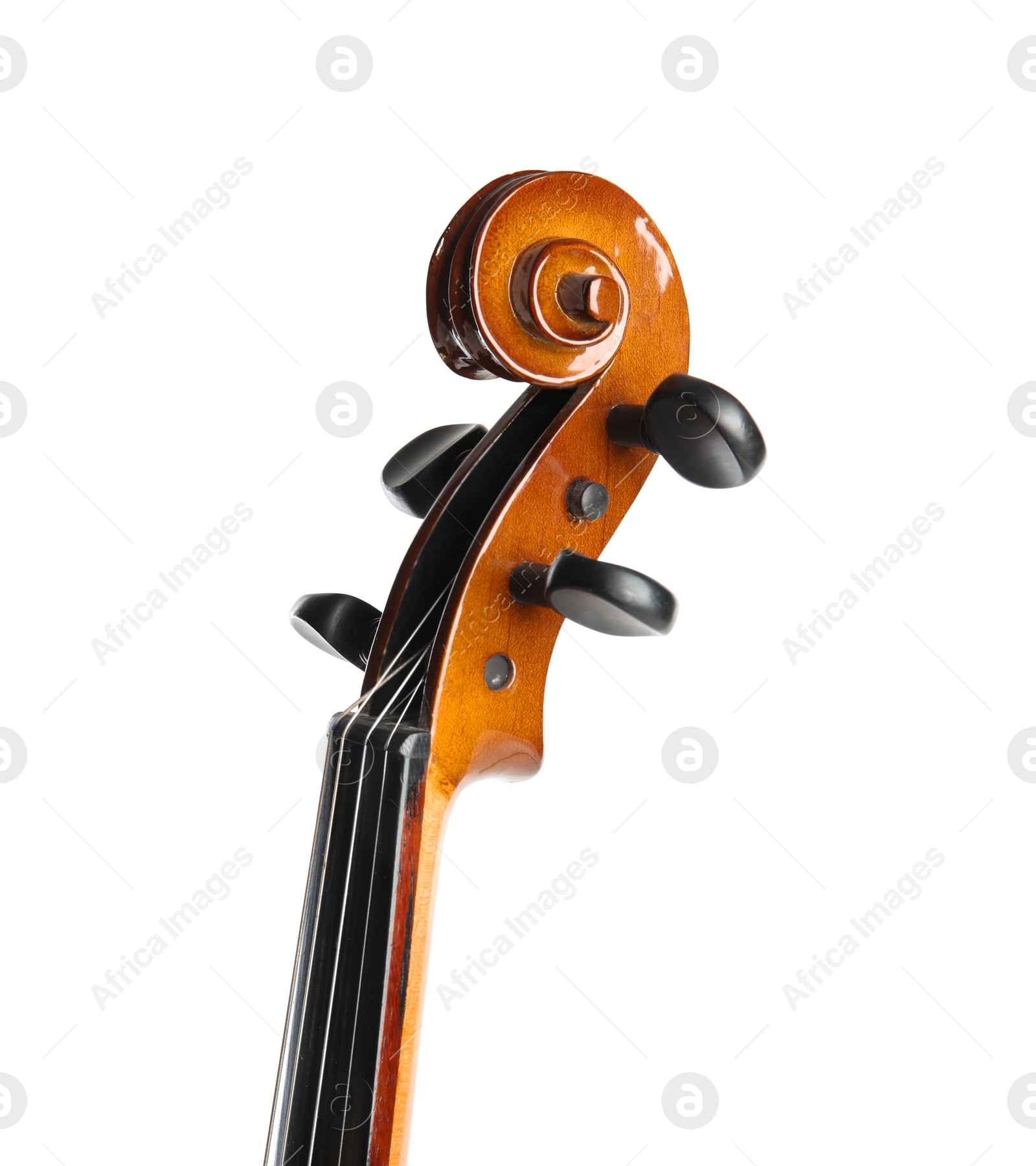 Photo of Beautiful classic violin isolated on white, closeup. Musical instrument