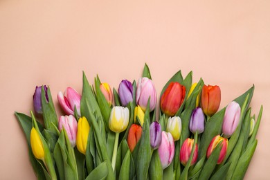 Photo of Beautiful colorful tulips on pale pink background, flat lay. Space for text