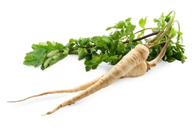 Photo of Tasty fresh ripe parsnips on white background