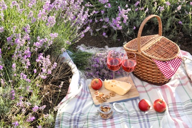 Set for picnic on blanket in lavender field