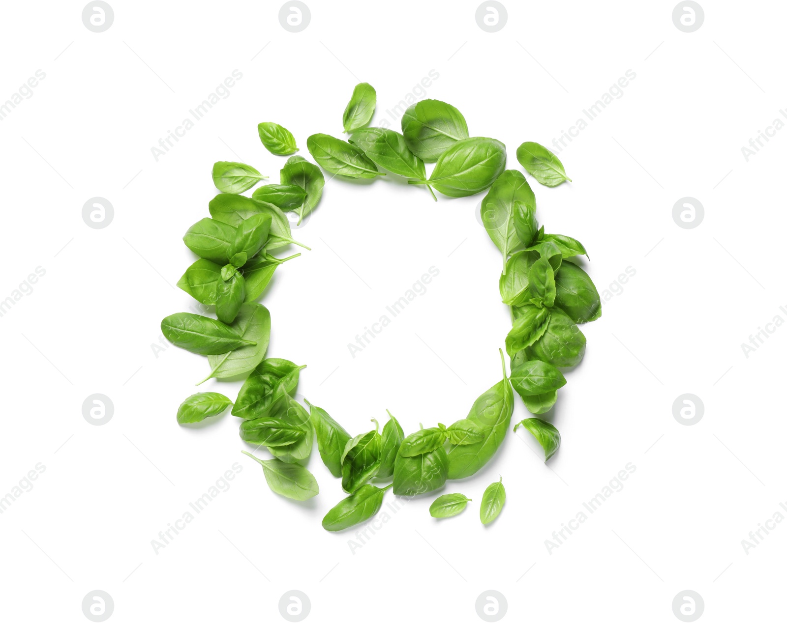 Photo of Frame made with basil leaves on white background, top view. Space for text