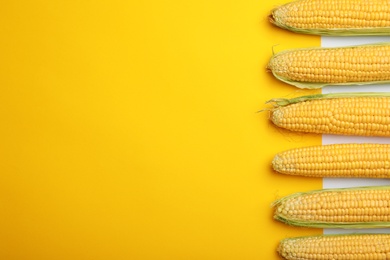 Photo of Flat lay composition with tasty sweet corn cobs on color background