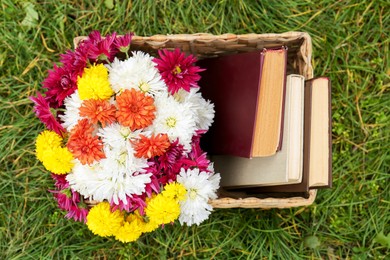 Wicker basket with beautiful chrysanthemum flowers and books on green grass outdoors, top view