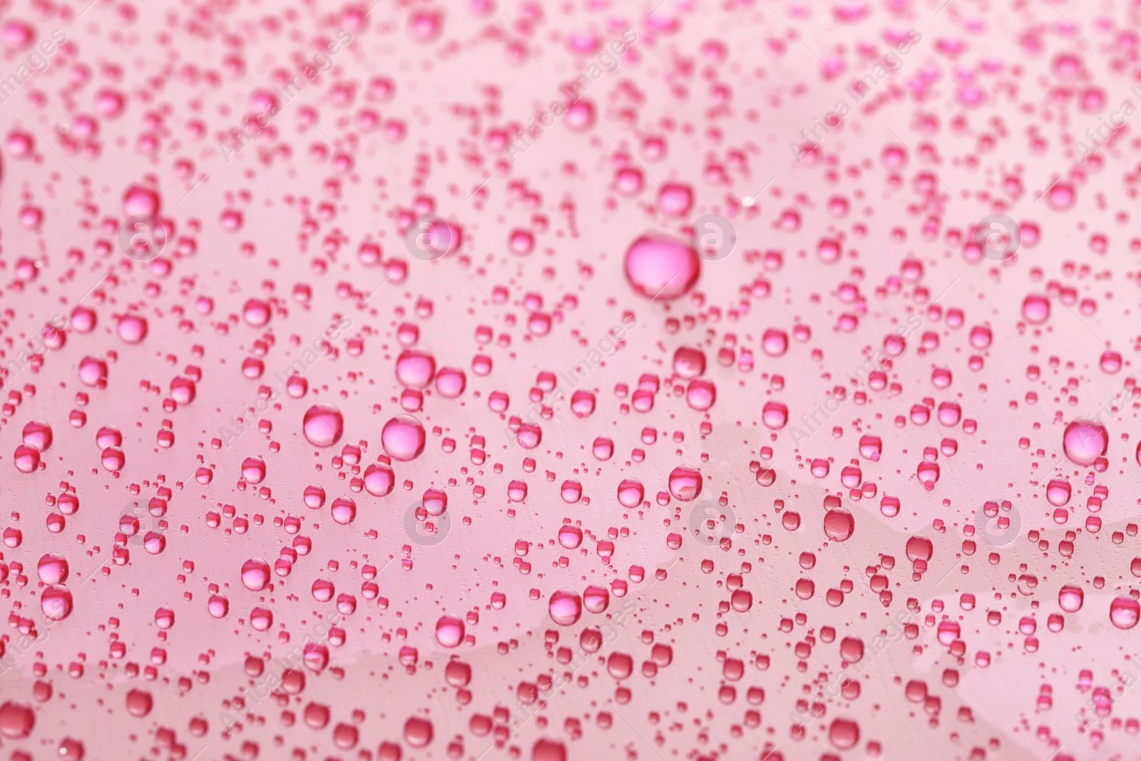 Photo of Water drops on pink background, closeup view