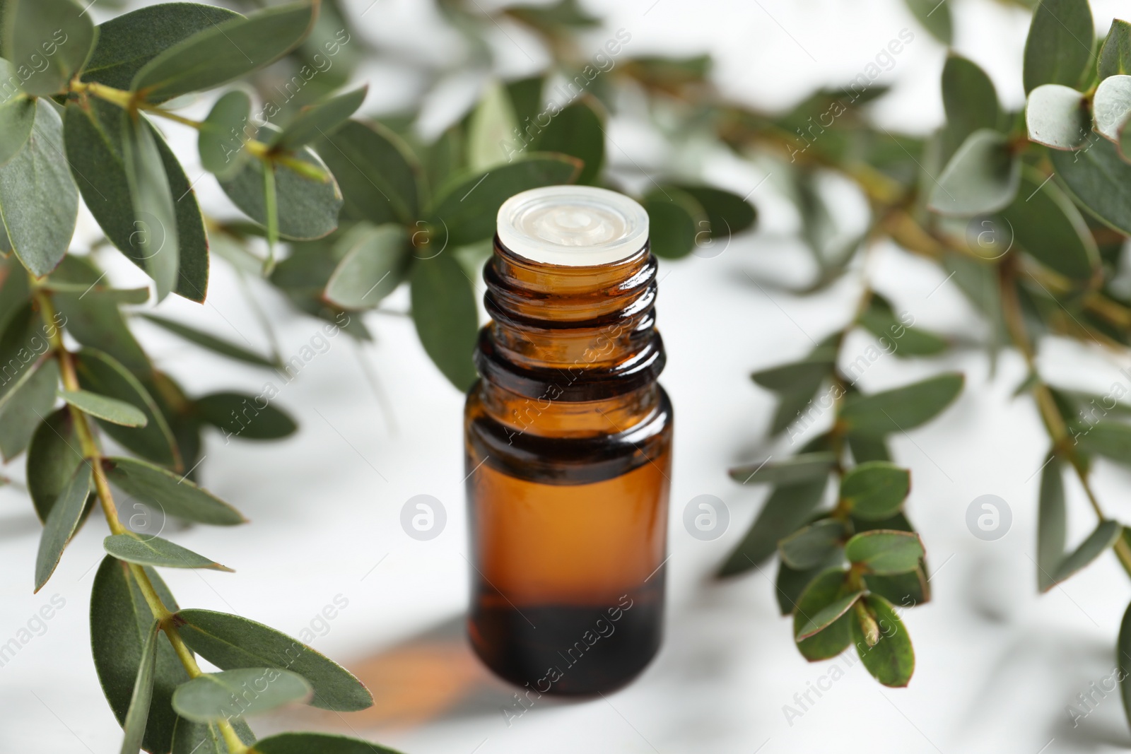 Photo of Bottle of eucalyptus essential oil and plant branches on white table, closeup