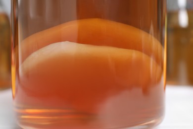 Photo of Homemade fermented kombucha with fungus mushrooms in glass jar on blurred background, closeup