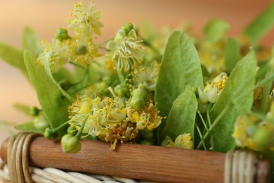 Photo of Beautiful linden blossoms and green leaves in basket, closeup