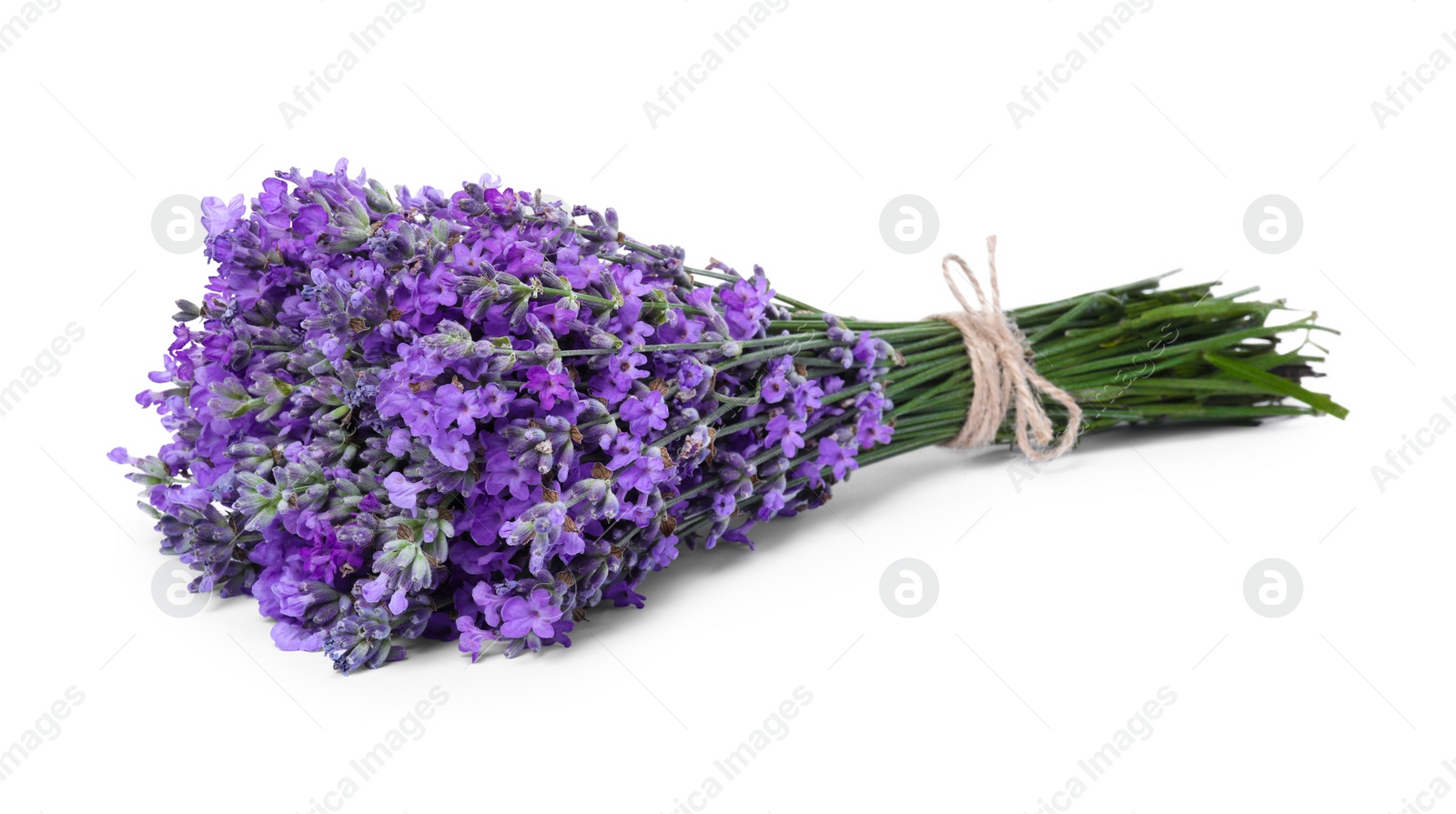 Photo of Bouquet of beautiful lavender flowers isolated on white