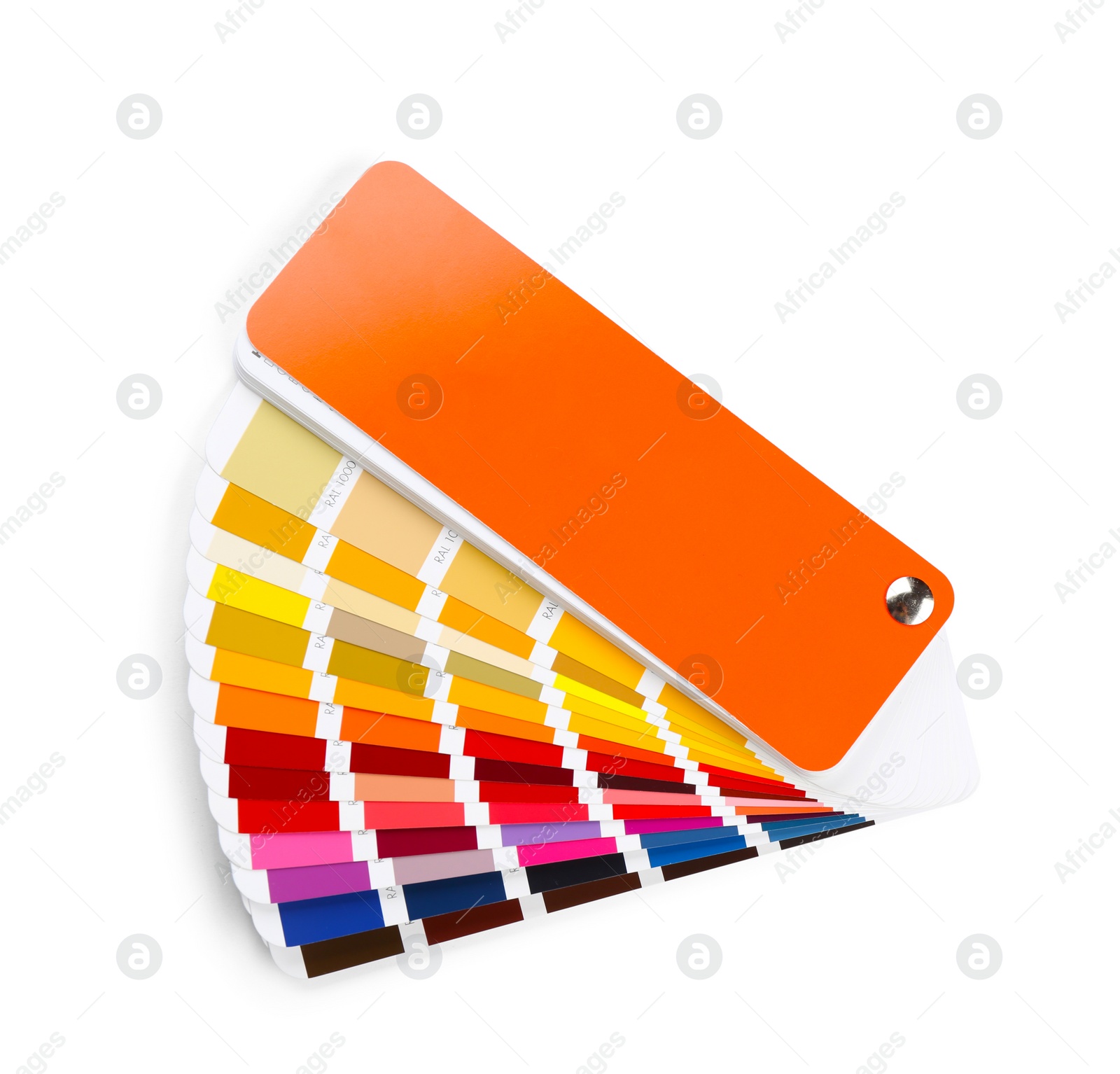 Photo of Color palette samples on white background