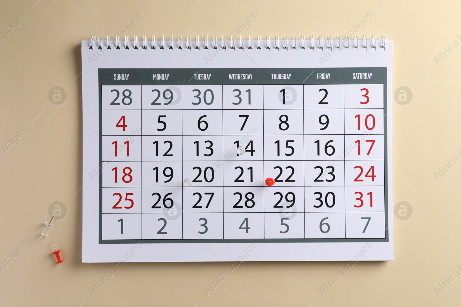 Photo of Timetable. Calendar and drawing pins on beige background, top view