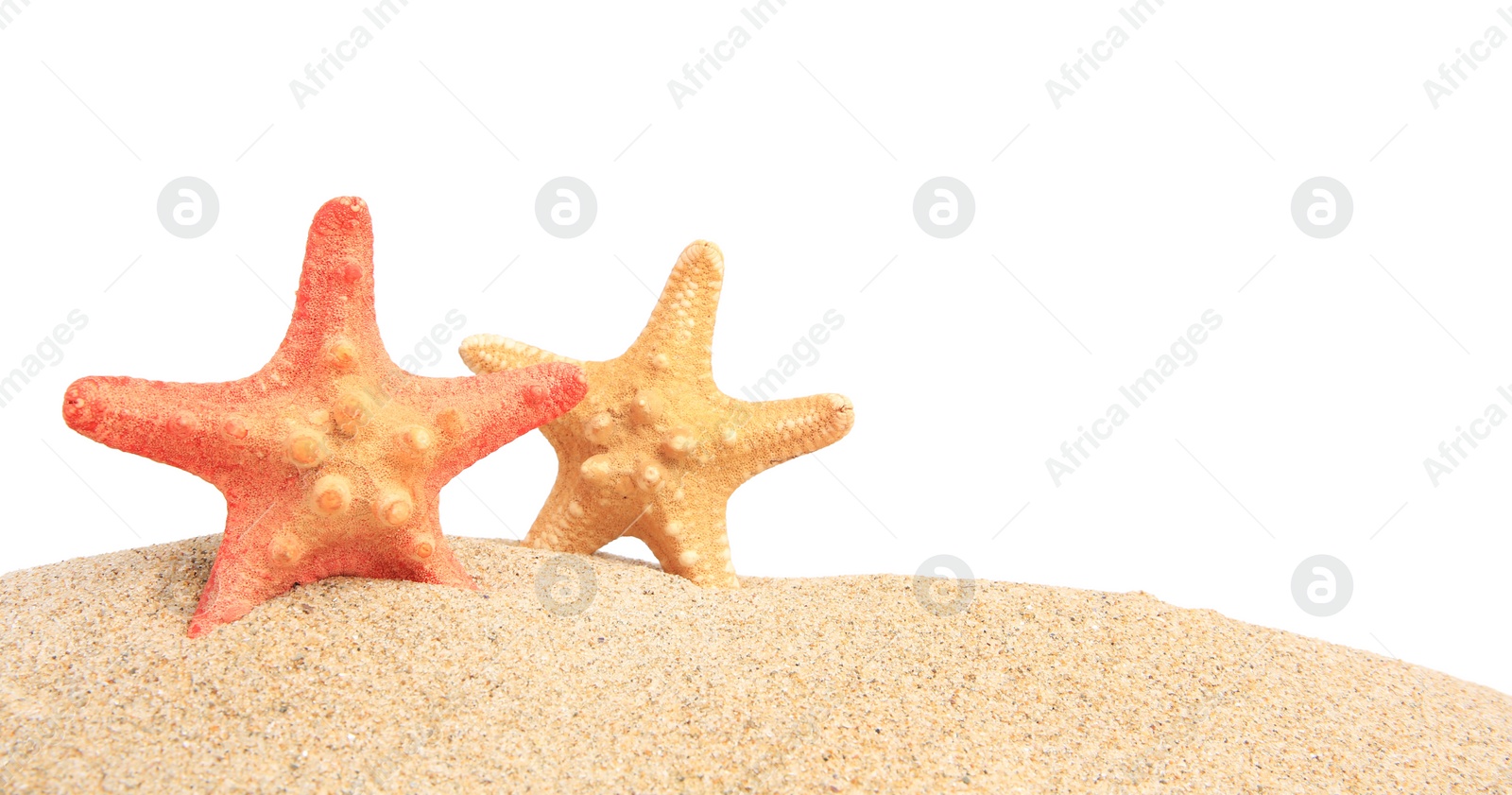 Photo of Beautiful sea stars (starfish) in sand isolated on white