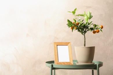 Potted citrus tree and empty frame on table against color background. Space for text