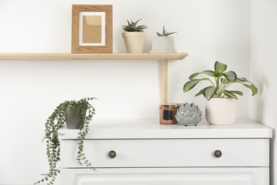 Photo of Modern chest of drawers with houseplants near white wall