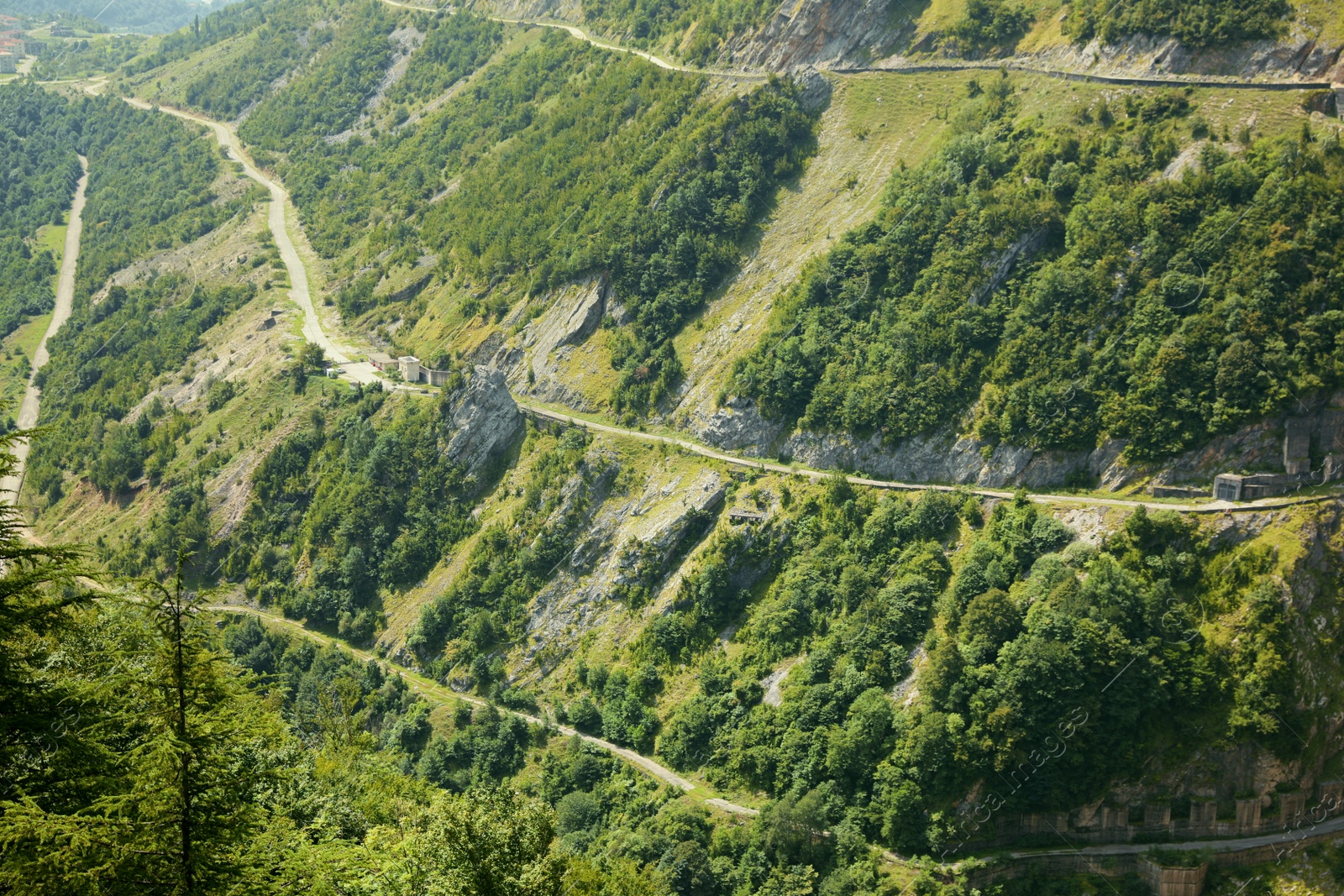 Photo of Beautiful mountain landscape with forest and green hills