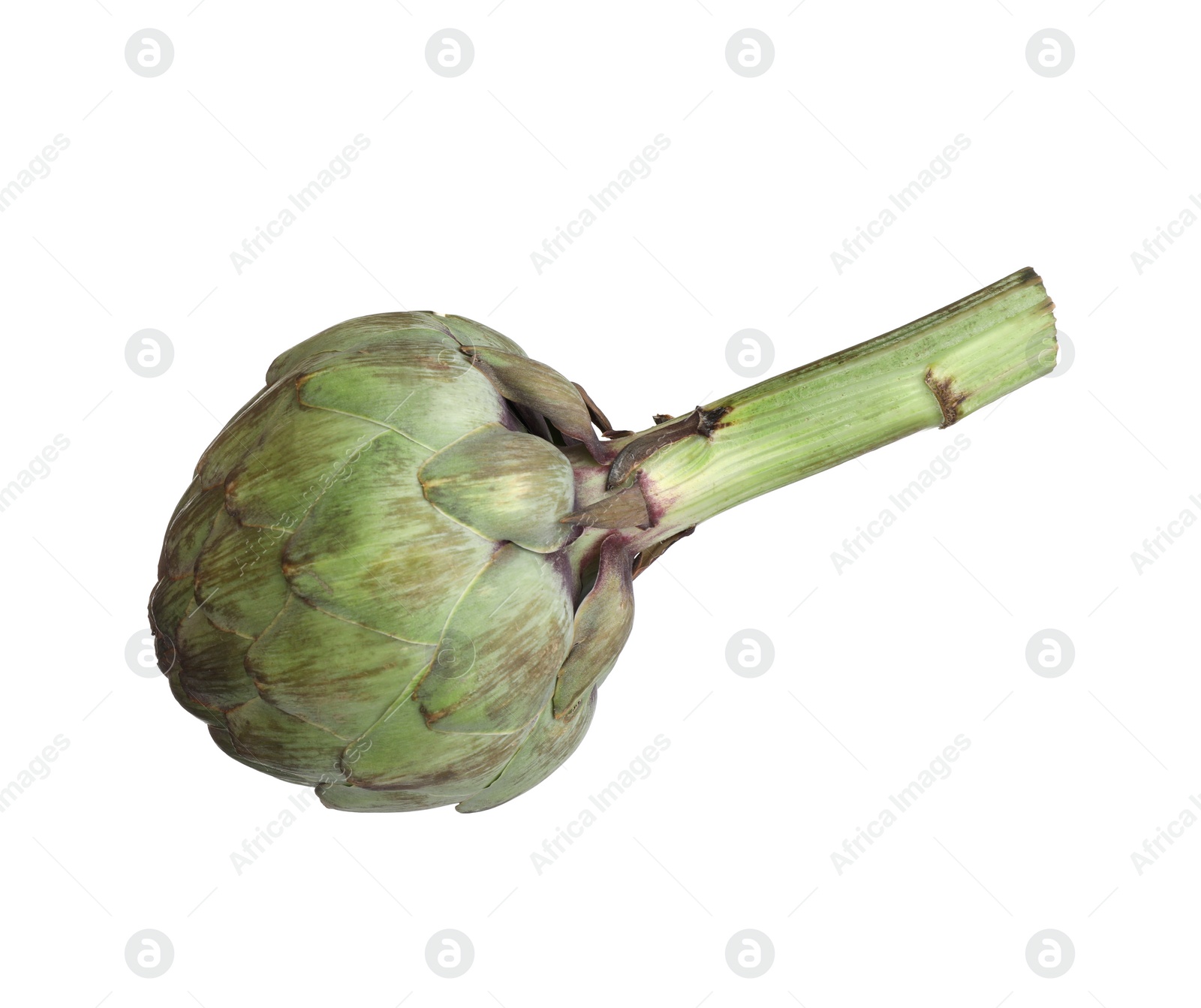 Photo of Whole fresh raw artichoke isolated on white