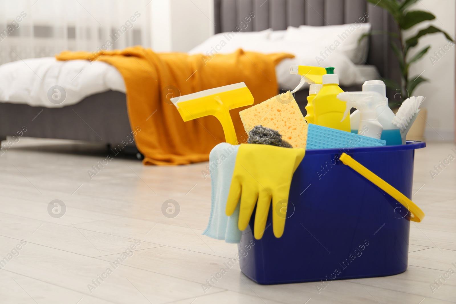 Photo of Different cleaning supplies in bucket on floor at home, space for text