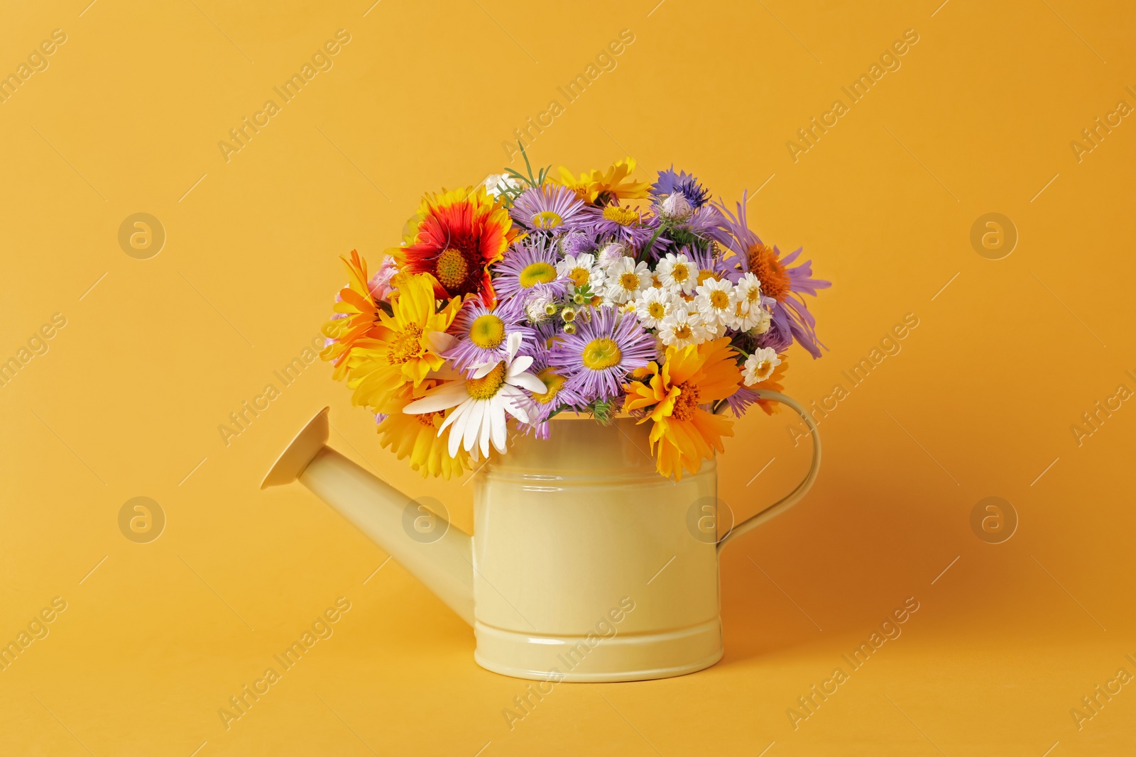 Photo of Watering can with beautiful flowers on yellow background