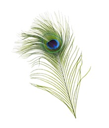 Beautiful bright peacock feather on white background