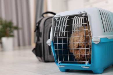 Photo of Travel with pet. Cute dog in carrier on floor indoors, space for text