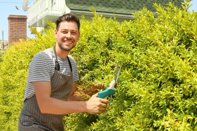 Man trimming bushes in garden on sunny day