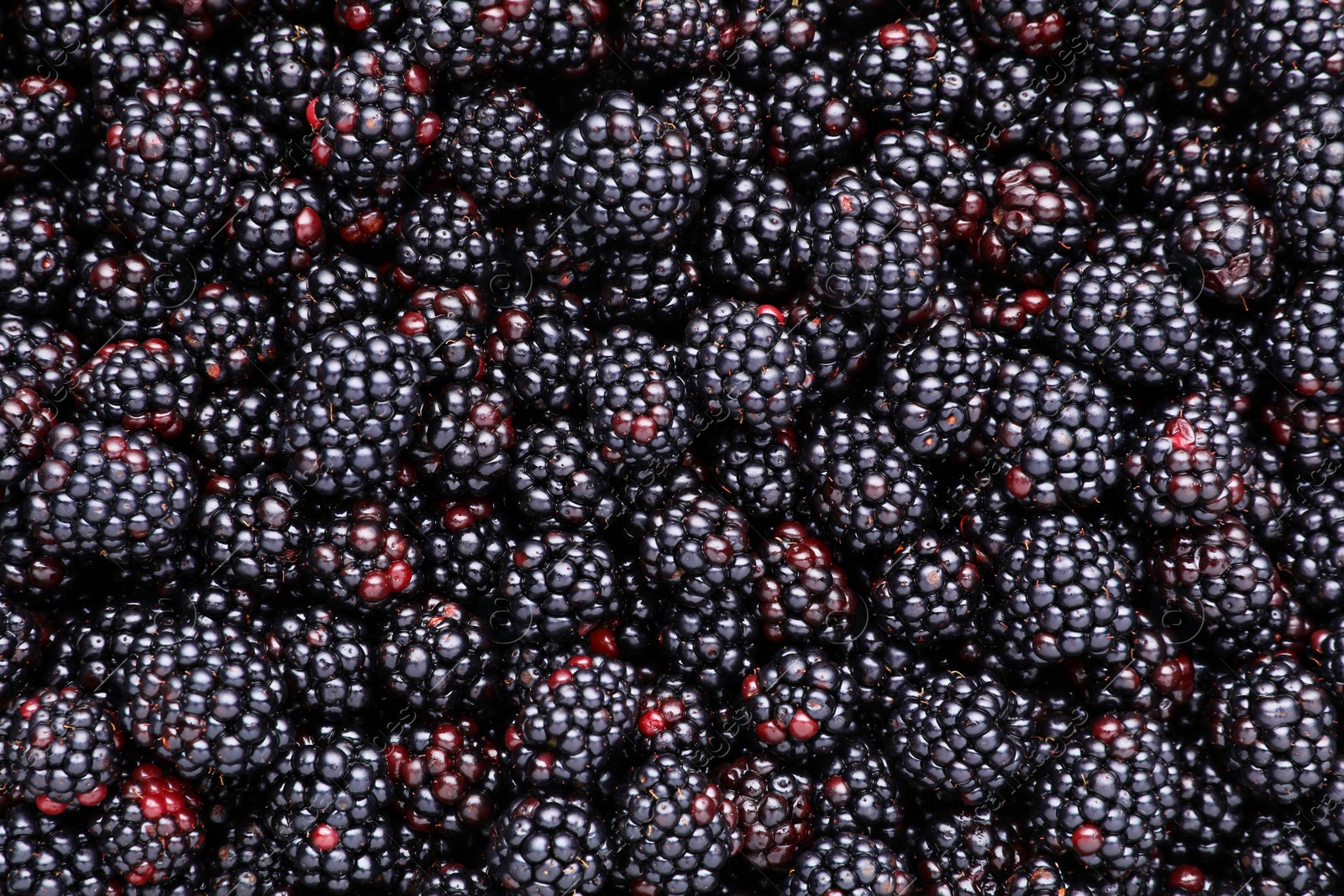 Photo of Many tasty ripe blackberries as background, closeup