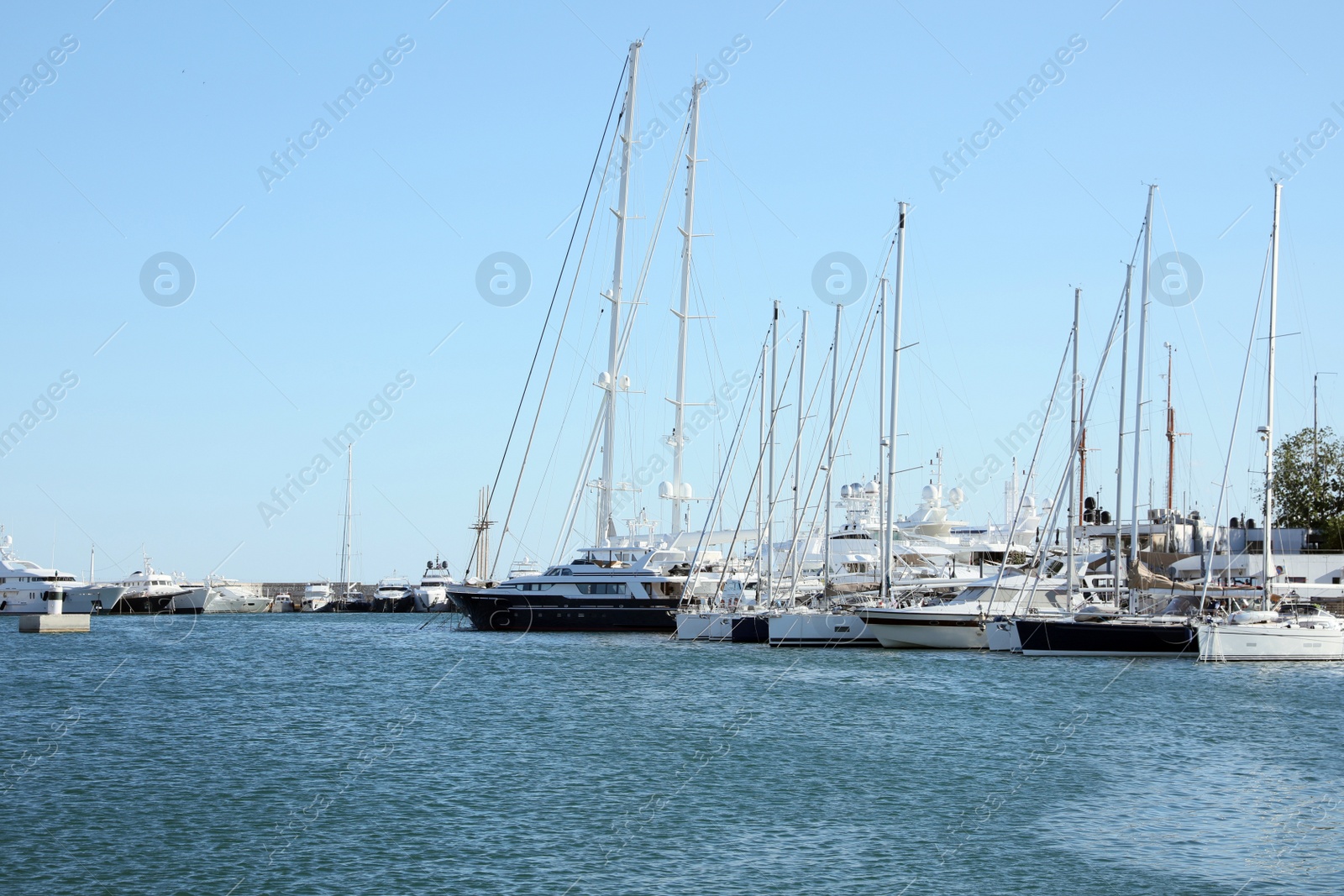 Photo of Picturesque view of port with modern boats on sunny day